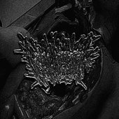 Osteomielitislogo.jpg