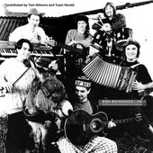 bogthedonkey-thx.jpg