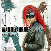 Wanderley Andrade