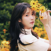 IU 2025 SEASON'S GREETINGS