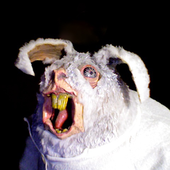albiinovattu 的头像