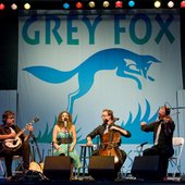 Grey Fox Music Festival