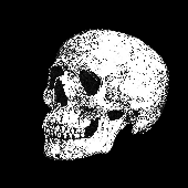 Sr_Matos_O_Mau 的头像