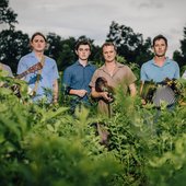 Lost Bayou Ramblers 2