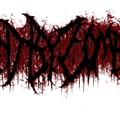 Proyecto nuevo (1).png
