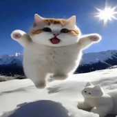 Avatar for BAAAAAAAAG