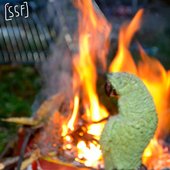 Setting Something Important On Fire