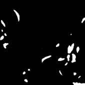 black sun france.png