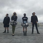 Velour Academy.jpg