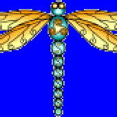 Avatar for LadyDragonfly