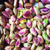 saffronrice 的头像