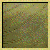 Avatar for ojoi