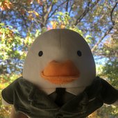 AugustTheDuck Plushie