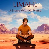 A Horse With No Name