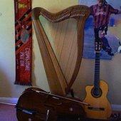 Harp, cello and classical guitar