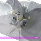 Anora - Single