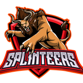 Awatar dla Splinteers