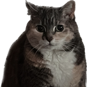 Avatar for ActualGarbageV