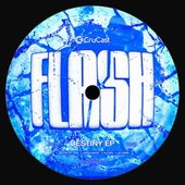 Destiny - EP