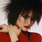 siouxsie-sioux-photo-by-mick-rock.jpg__800x500_q85_crop_subject_location-487,496_subsampling-2_upscale.jpg