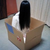 keyboardmite 的头像