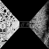Pushing Realities
