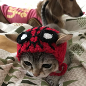 adorwable 的头像