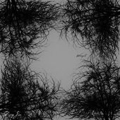 Wrought
