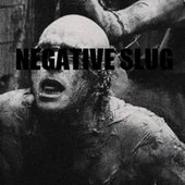 negative slug 