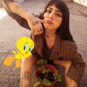 cande