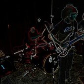 Former Animals