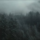 Ashes