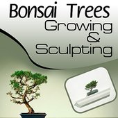 Bonsai Trees 101 - Growing and Sculpting