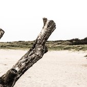 omo_beach.jpg