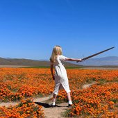 Warrior Poppy in the meadow