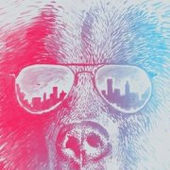 Avatar for StarkDS