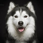 Haska