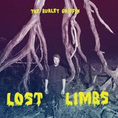 Lost Limbs