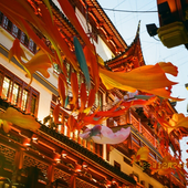 recksal 的头像