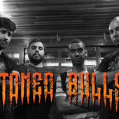Foto da Stoned Bulls.png