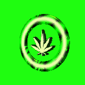 sqik 的头像