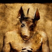 Avatar for Dismorphed