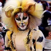 Cats1.jpg