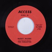 Muddy Waters / Stickin Kind of Man