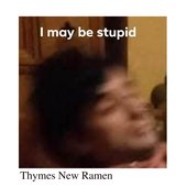 I may be stupid