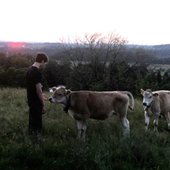 calfs2