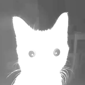 Avatar for ethertherealest