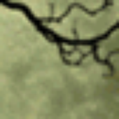 Delghado