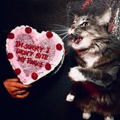 I'M SORRY I DIDN'T BITE MY TONGUE (DELUXE) [Explicit]