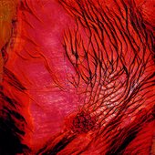 a2373002279_10 (1).jpg